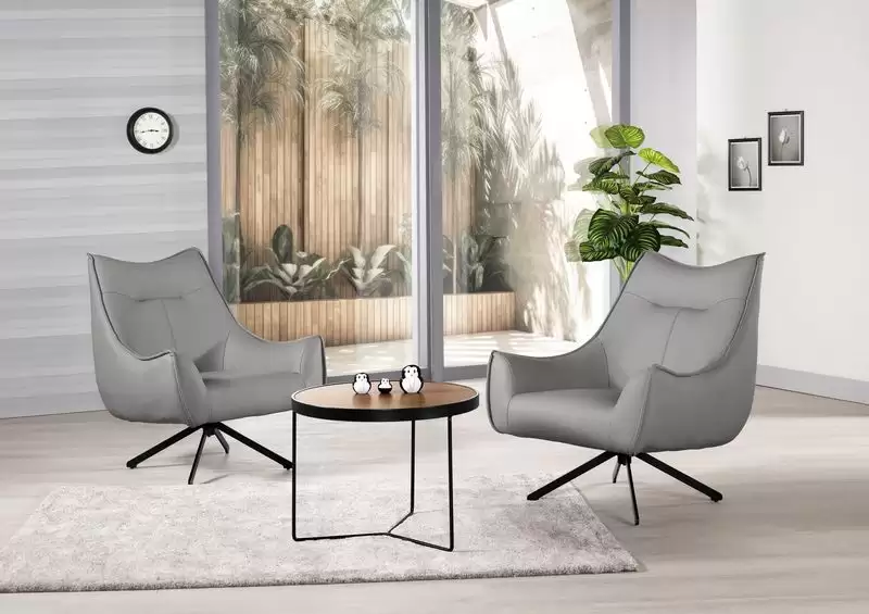 艾利安休閒椅(灰色皮)