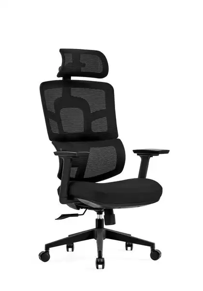 維斯丹人體工學電腦椅(黑色)(布)