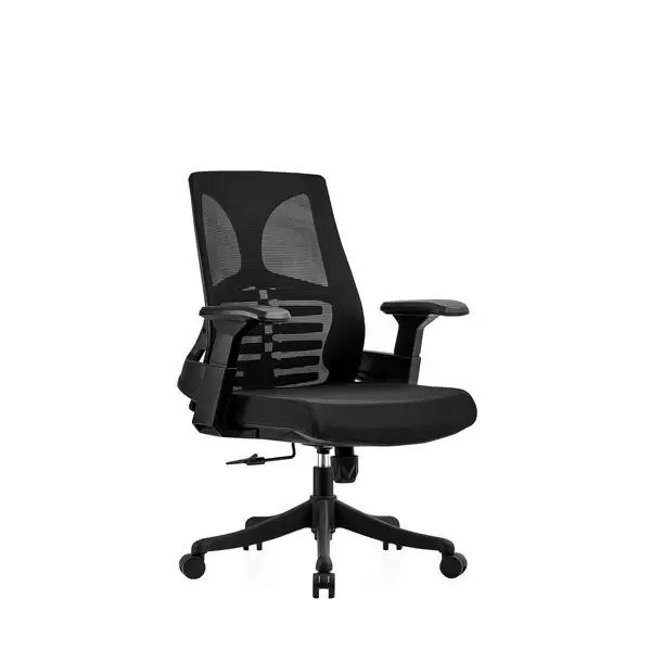 費尼安電腦椅(低背)(黑色)(布)