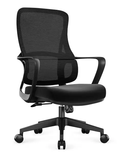 喬治人體工學電腦椅(低背)(黑色)(布)