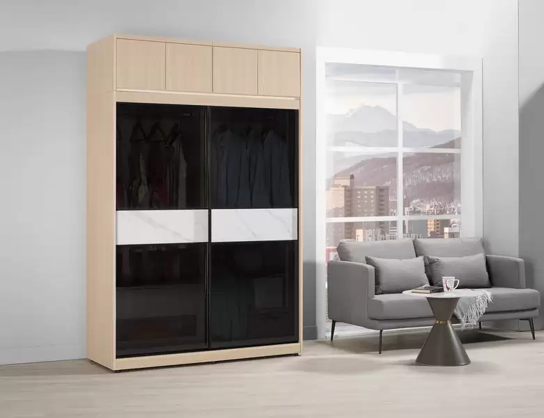 艾維斯5尺鋁框拉門衣櫥(黑玻璃)