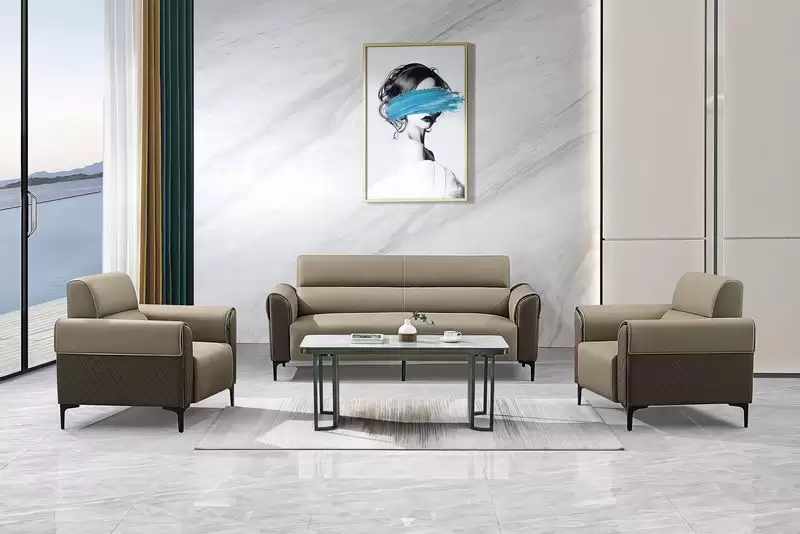 法爾曼貓抓皮沙發